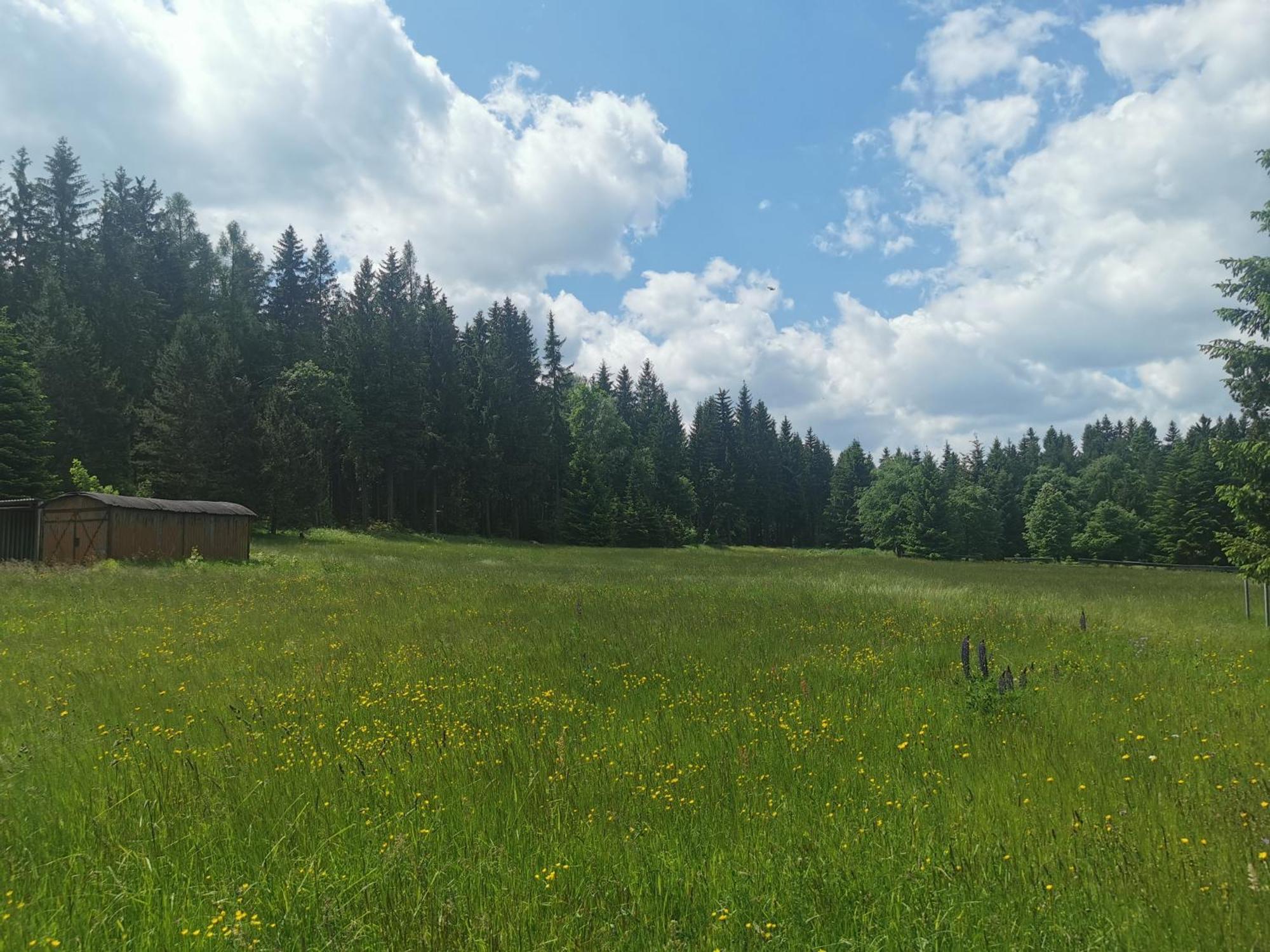 Berghaus Am Felsbruch Oberwiesenthal Ot Hammerunterwiesenthal Exterior foto
